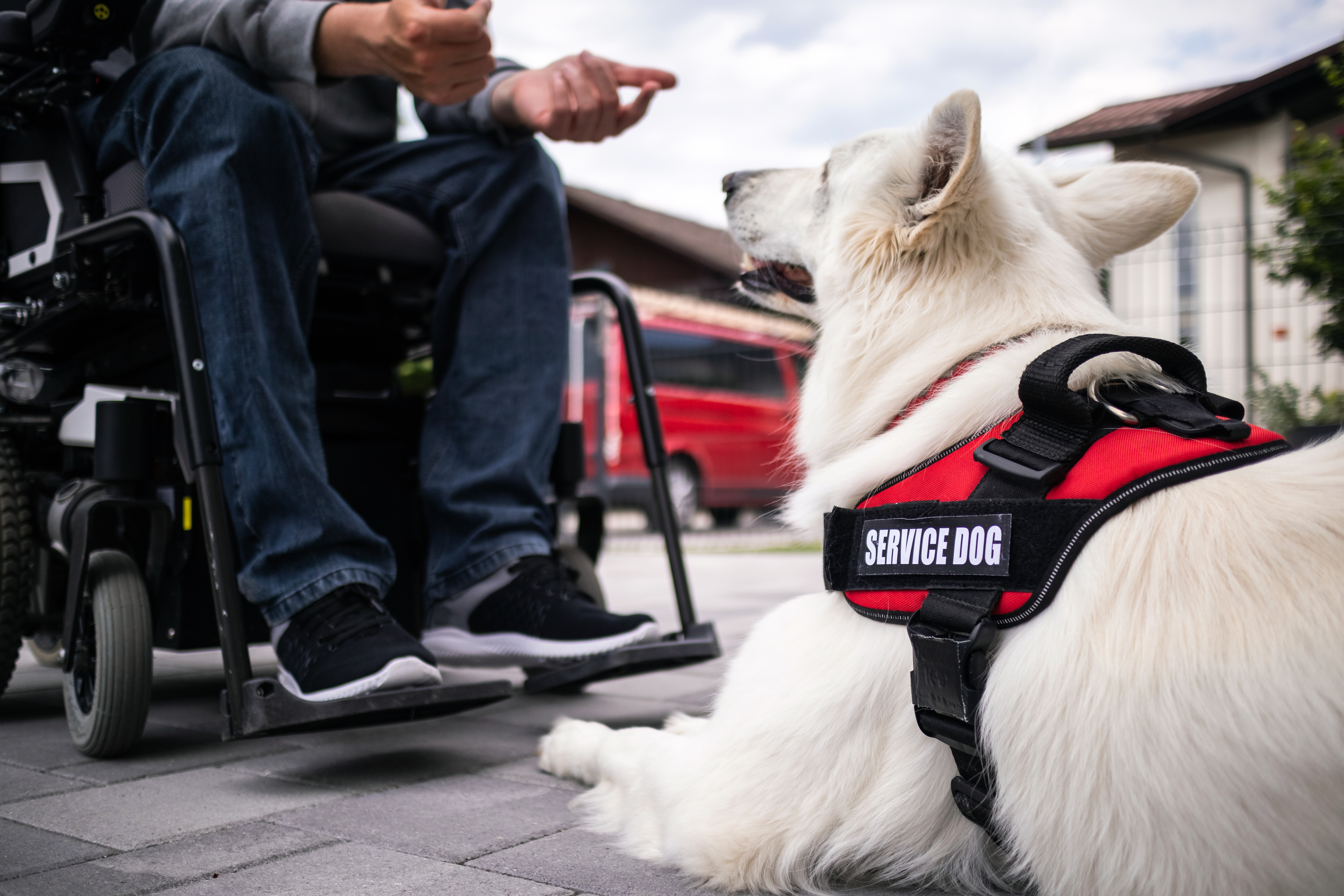 Do I have to allow an Emotional Support Animal?